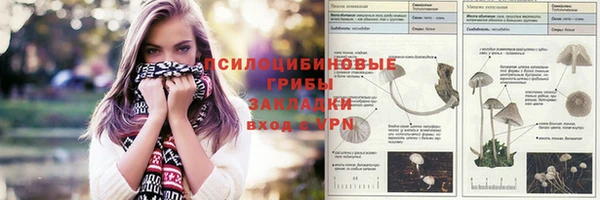apvp Абдулино