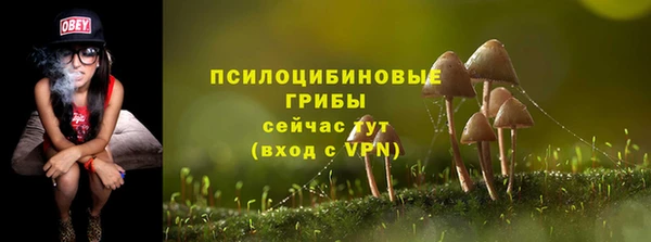 apvp Абдулино