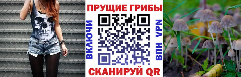 Галлюциногенные грибы ЛСД  MEGA как зайти  Ковров 