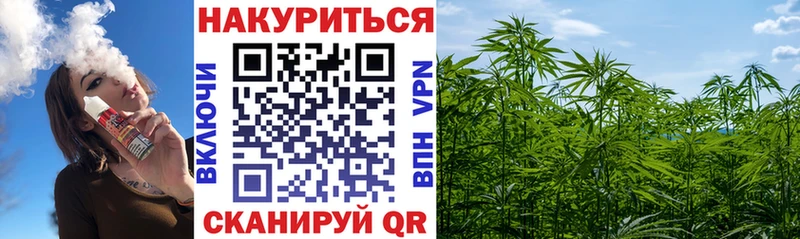 Бошки Шишки план  где купить наркоту  Ковров 